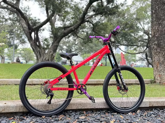 BMX rider performing a trick